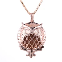 owl shape aroma diffuser necklace rose gold lockets pendant perfume essential oil aromatherapy locket necklace with pads