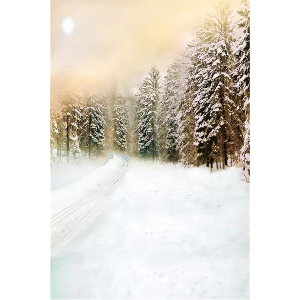 

Foggy Winter Morning Sunrise Photography Backdrops Snow Covered Trees White Country Road Kids Outdoor Scenic Photo Backgrounds
