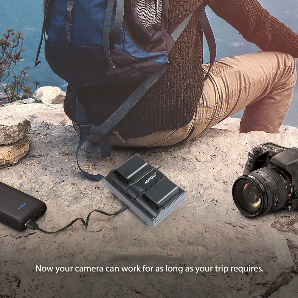 2 шт. NP-FW50 NP FW50 батареи + USB двойное зарядное устройство для Sony NEX-5 NEX-5A NEX-5C NEX-5D NEX-5DB