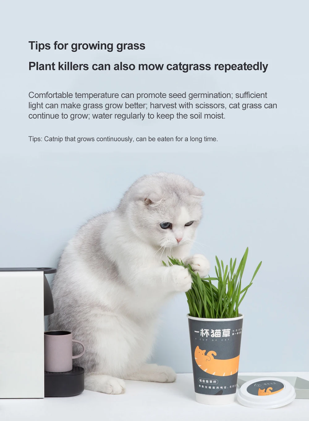 Xiaomi FURRYTAIL чашка кошачьей мяты используется для добавления кошачьей пищи для предотвращения трёхобезоара домашних кошек и очистки кошачьих зубов, посаженных Кошачьей Мятой