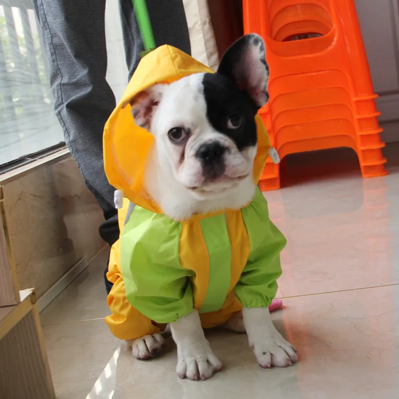 Дождевик для больших собак корги мопс французский Bulldog одежда золотистый