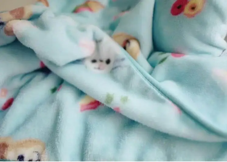 IVYYE Duffy Cat Аниме, плюшевая вещь аксессуары Плюшевая Кукла Мягкие пушистые теплые мягкие игрушечное одеяло кровать плед Новинка - Цвет: 1.4x2M Blanket