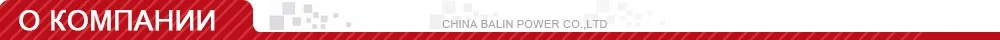 Плунжерная пара BASCOLIN 2418455356 Плунжер 2455356