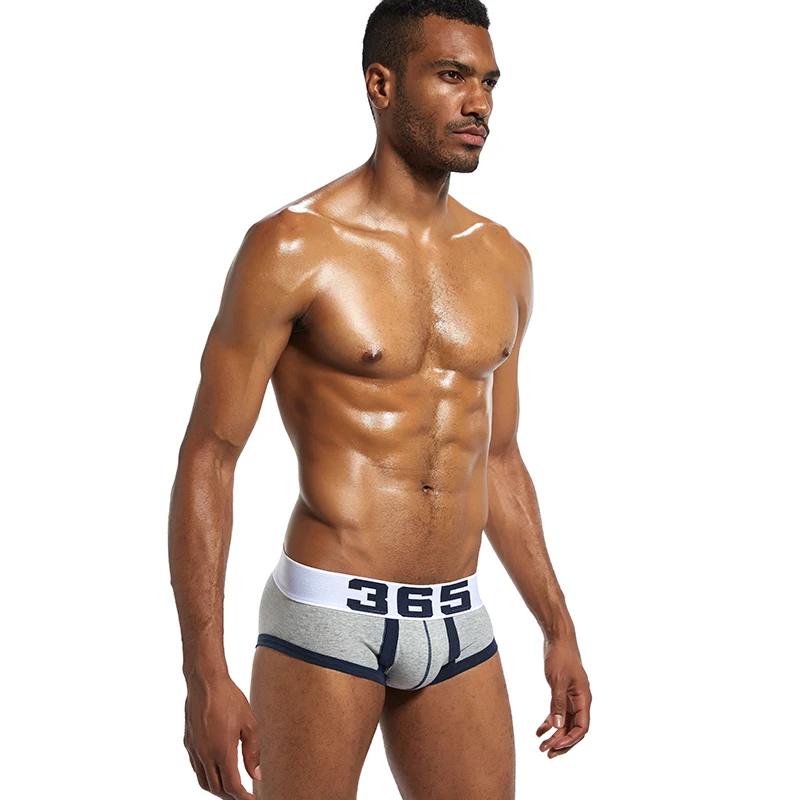 Sexy Briefs BSHETR Brand Slip Male Panties Soft Underwear Men Cotton Cucea Underpants Comfortable Gay Pants Free Shipping |