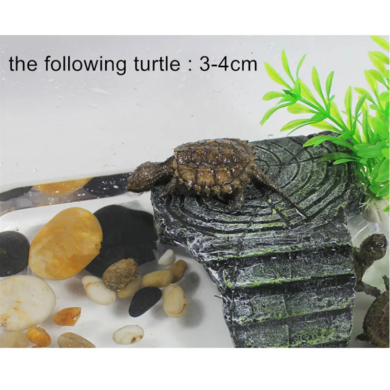 Полимерная аквариумная рептилия для скалолазания платформа черепаховых