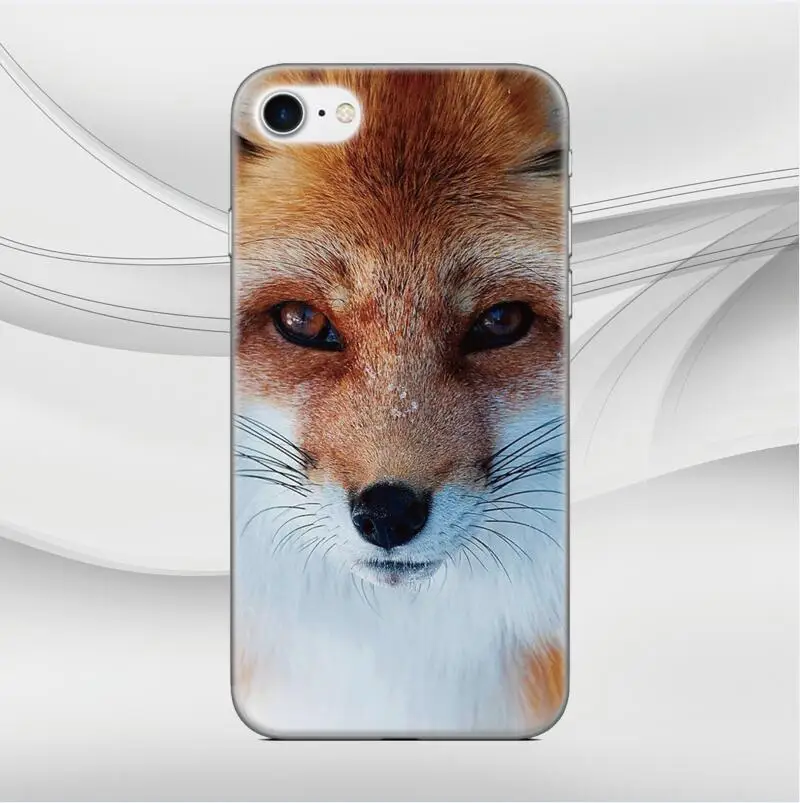Style 2 Прозрачный мягкий кремний ТПУ Fundas Dragon Fox чехол для телефона для BQ Aquaris M4.5 E4 C X X2 Pro U U2 Lite VS V Plus E4.5 чехол Coque Capa - Цвет: Style 2