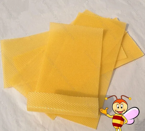 Основа пчелиный воск лист пресс форма для литья машина 195*415 мм|molds for plastic injection|molded
