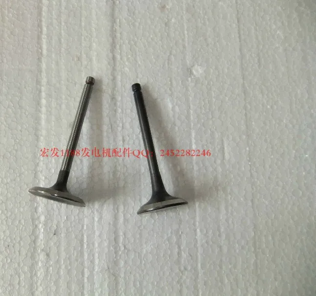 Подлинный комплект клапана IN. & EX для R. RGV12100 Бесплатная доставка впускной клапан и