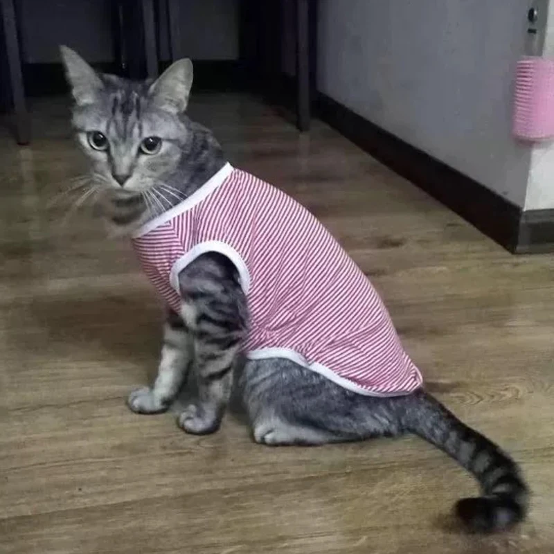 Сезон весна-лето; одежда для домашних животных, котов Котенка футболка в полоску жилет костюмы Классический хлопок Собаки Кошки Футболка Костюмы товаров для домашних животных