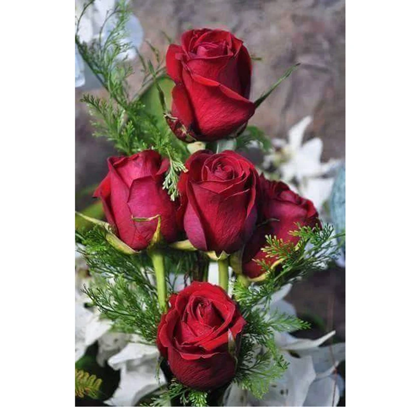 

5D Diy Diamond Painting Cross Stitch Kit Diamond Embroidery Rose Full Drill Rhinestone Needlework Crafts Diamond Mosaic Flowers