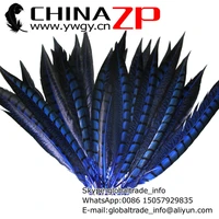 wholesale in chinazp factory 200pcslot good quality dyed royal blue lady amherst pheasant tail feathers