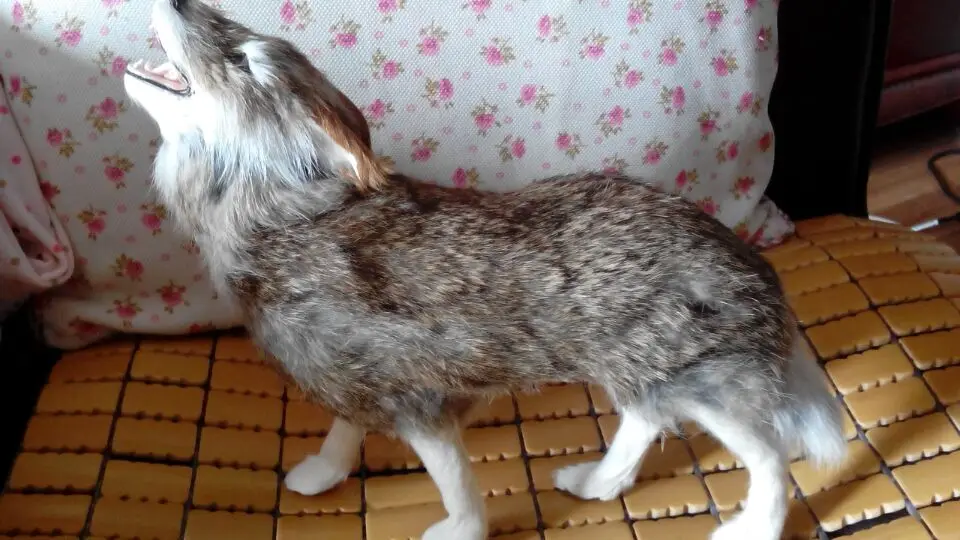 Мебель для дома Имитация животных смотрящих на небо игрушка волк модель