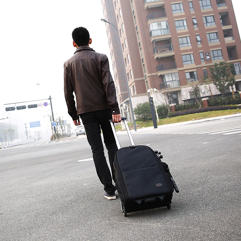 Сумка для камеры сумка на колесиках повседневный рюкзак Цифровая зеркальная