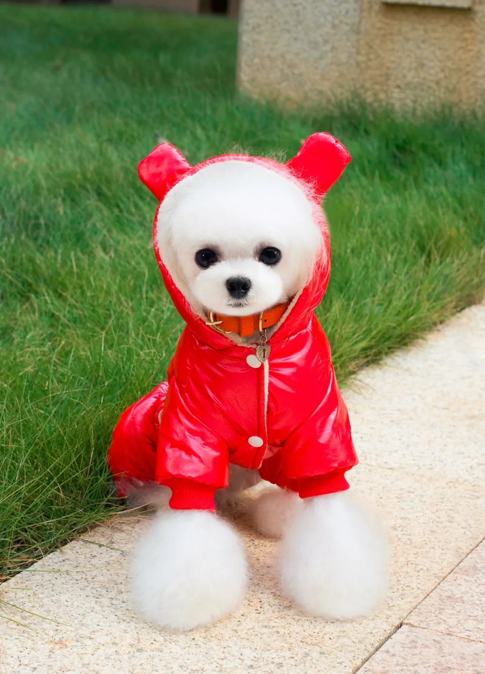 Новая Толстая стильная зимняя куртка для собаки с капюшоном лыжный костюм дизайн