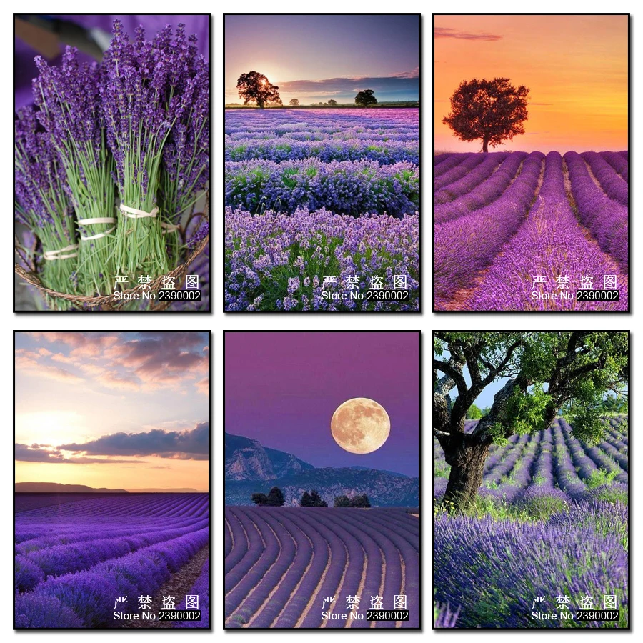 Лавандовая ферма цветы полная Алмазная вышивка рукоделие DIY алмазная живопись 3D