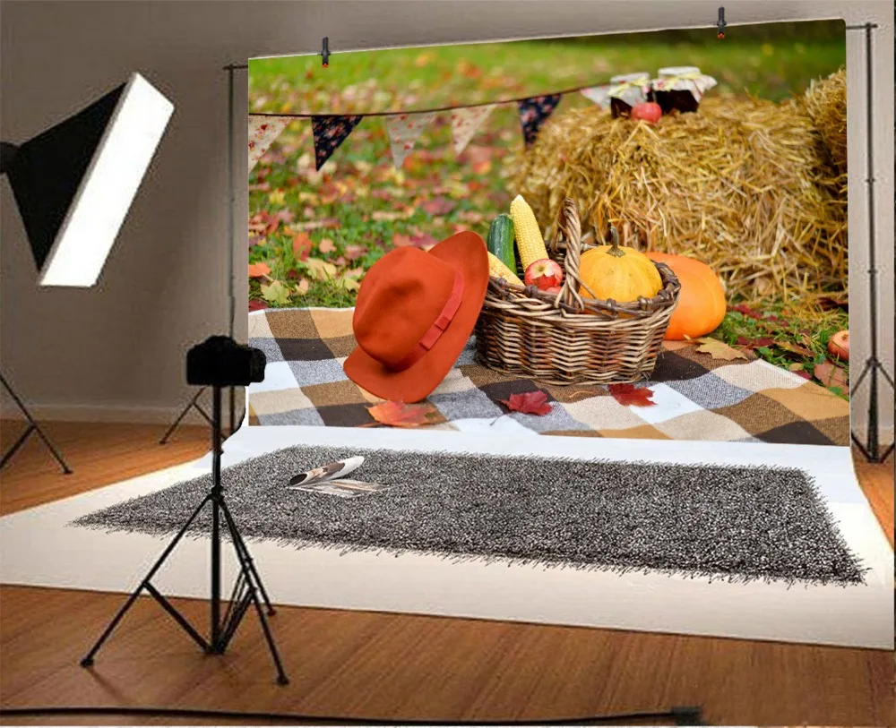 Laeacco ферма сена стек шляпа корзина Тыква Кукуруза фрукты фон для фотосъемки