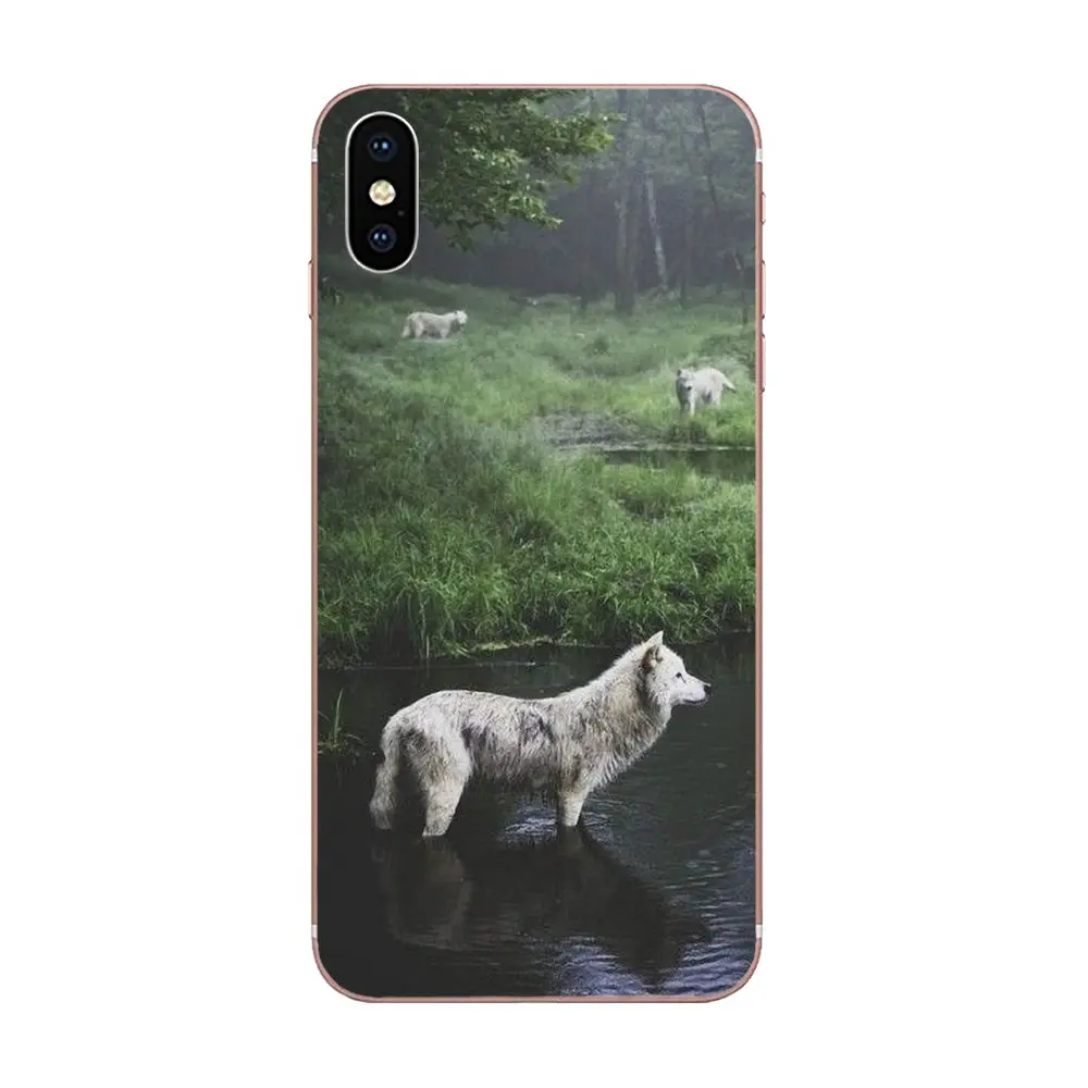 Чехол TPU Хаски Щенок Кристалл Чистый Гибкий для Huawei Honor 4C 5A 5C 5X 6 6A 6X 7 7A 7C 7X 8 8C 8S 9 10 10i 20 20i Lite Pro и др.