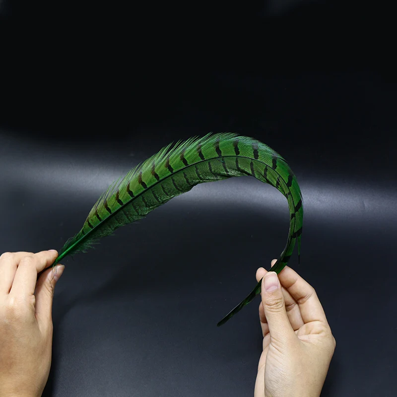 Королевский Сисси 24 шт. 6 цветов Набор мухобойка перья из хвоста фазана 15 ''Ringneck хвост длинные колючки для Классический mayfly nymph шаблон