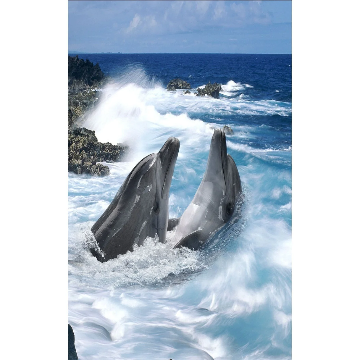 3D напольное покрытие из ПВХ на заказ Красивые стикеры обои Дельфин пол наклейки