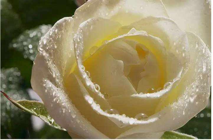 Пользовательские фото обои большой 3D диван телевизор фоном росписи обоев мода