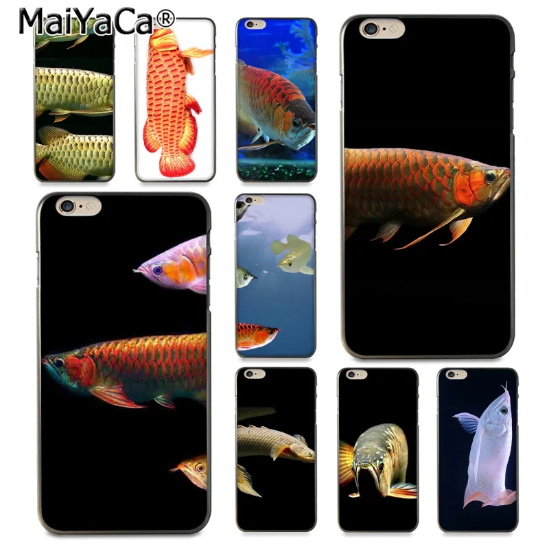 MaiYaCa золото Arowana красочные милые аксессуары для телефона чехол iPhone 8 7 6 6S Plus X 10 5 5S SE