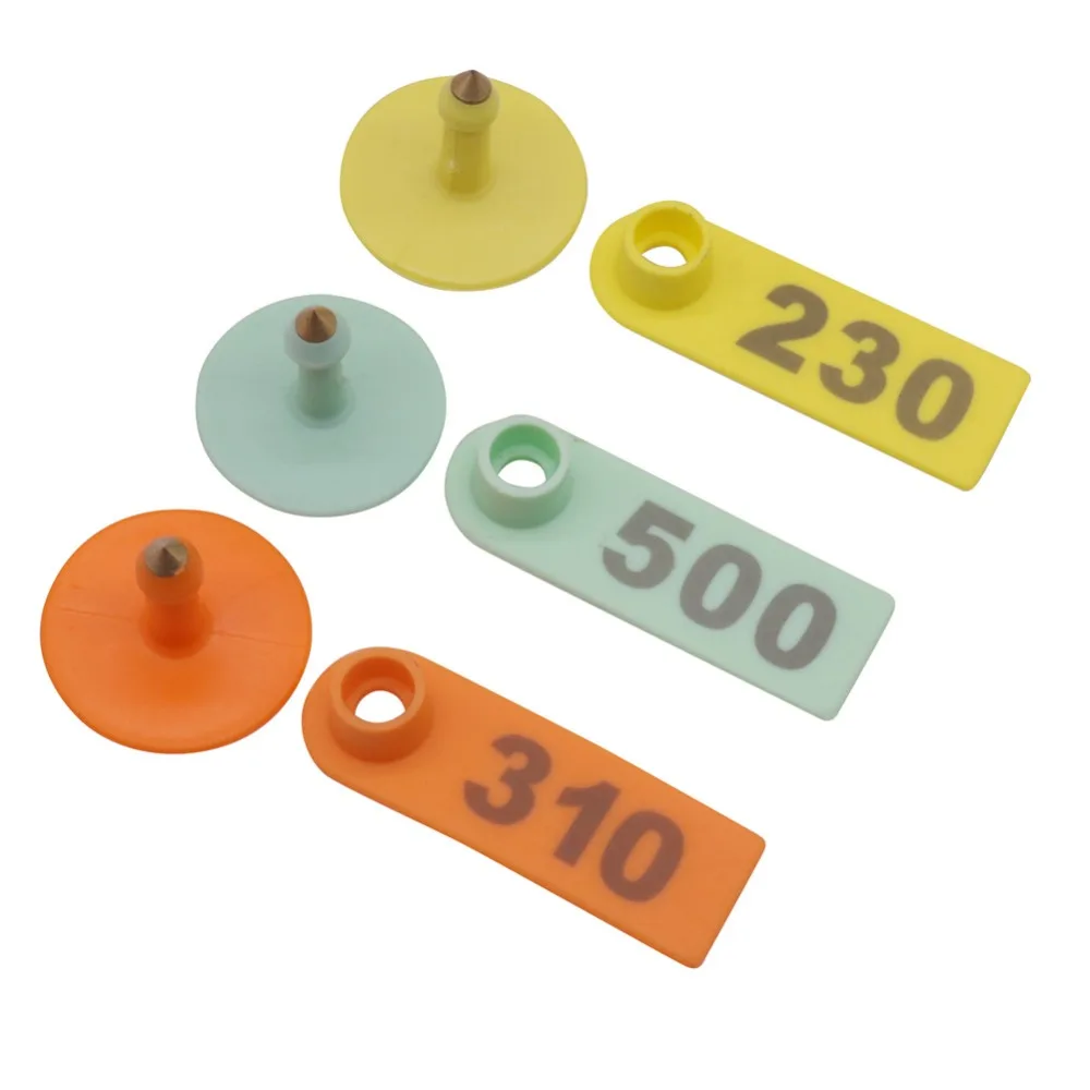 

Pet Products