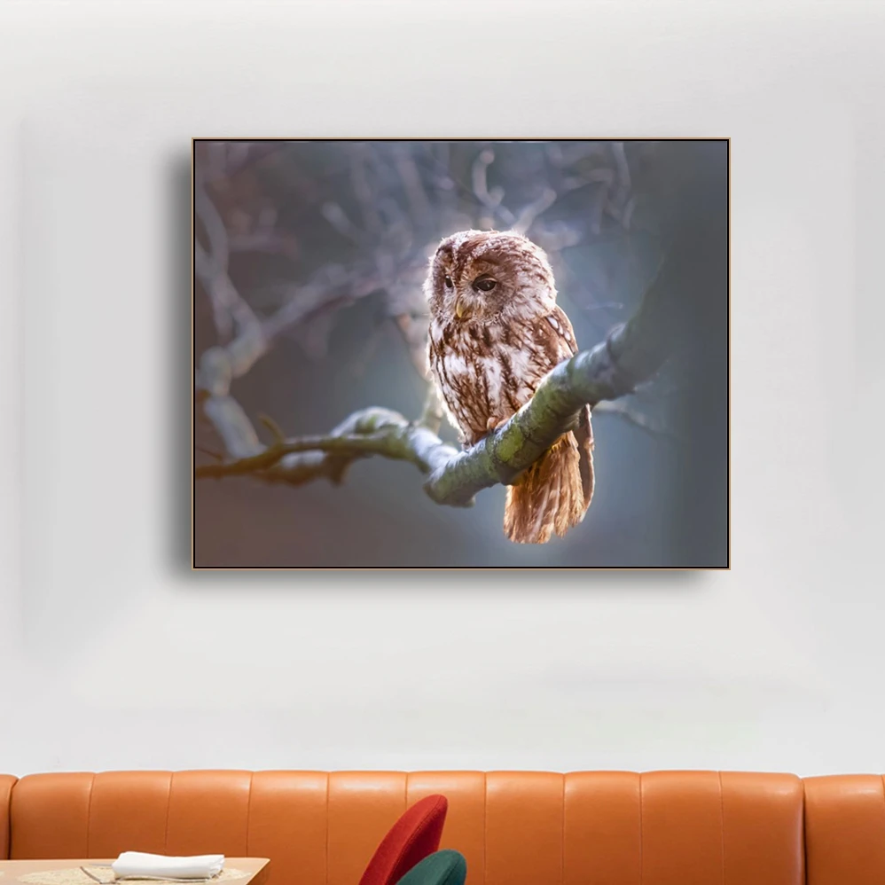Совы на ветках Современная декоративная HD холст живопись каллиграфия