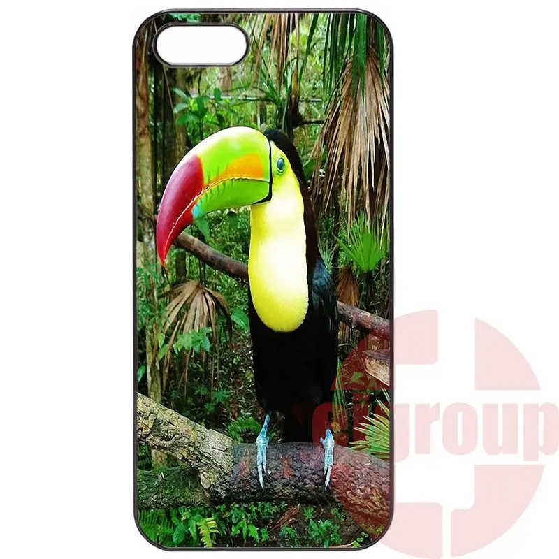 For Meizu MX4 MX5 Pro 6 m1 m2 m3 note OnePlus 1+ Two X 3 Painting Black Skin tropical toucans | Mobile Phone Cases &amp Covers