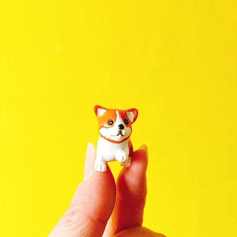 Продажа ~ 10 шт. корги/собака щенок/Сказочный Садовый Гном/Террариум с мхом