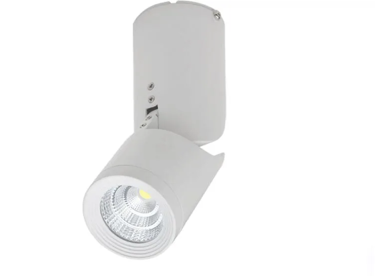 15 Вт COB светодиодный светильник с поверхностным монтажом потолочный Точечный