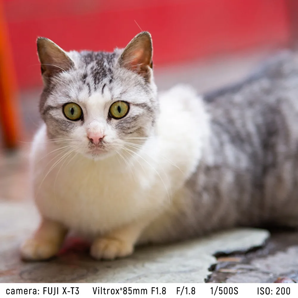 VILTROX 85mm f/1,8 STM автофокусом объектив с фиксированным фокусом F1.8 объектив для Камера Fujifilm X-mount X-T3 X-T30 X-T20 X-T100 X-H1 X20 X-Pro2