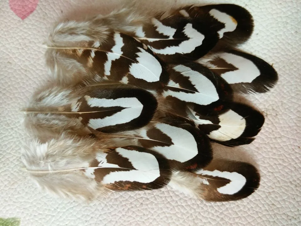 Niewe! 20 шт st van hoogwaardige natuurlijke fazant veren 2-3 дюйма/5-8 см Ambachten Sieraden en andere аксессуары | Дом и