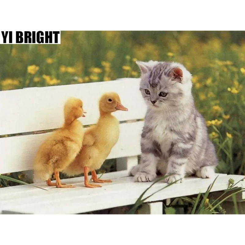 

5D алмазная живопись, мозаика «милый Котёнок и утка», вышивка крестиком, полная вышивка, стразы, домашняя вышивка Decora GT