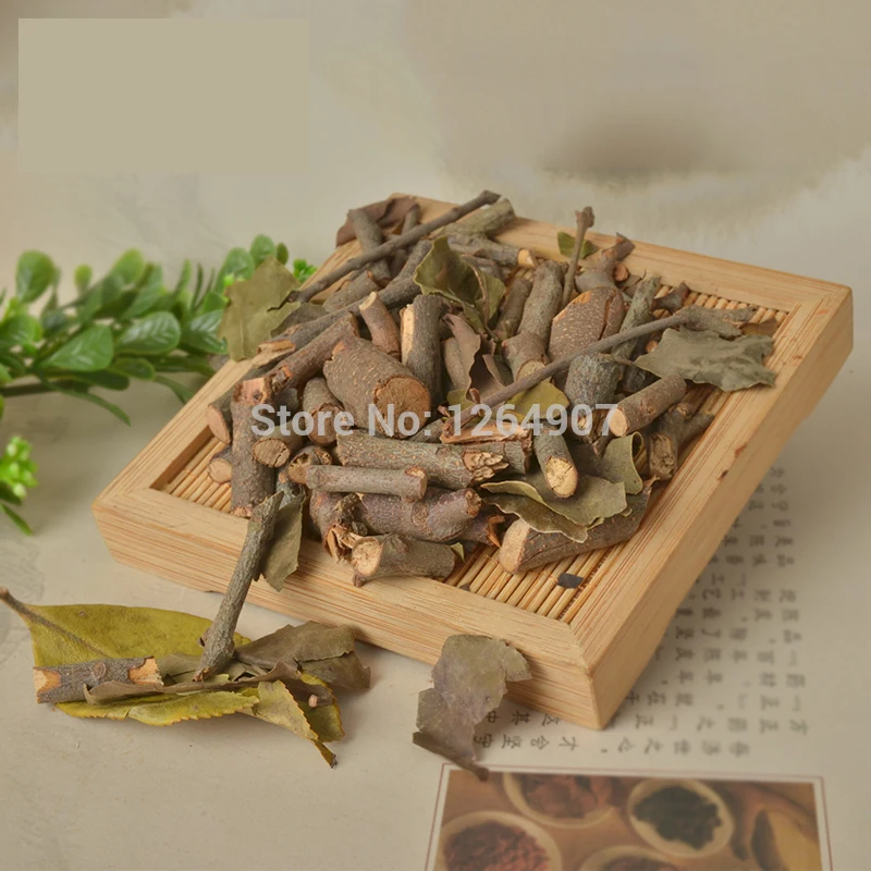 New Free shipping 500g mistletoe * Taxillus Twig Chinese herbal medicine to treat high blood pressure liver and kidney rheuma |