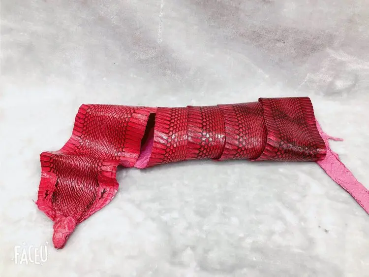 Цельное изделие из Натуральной Змеиной кожи для искусственного