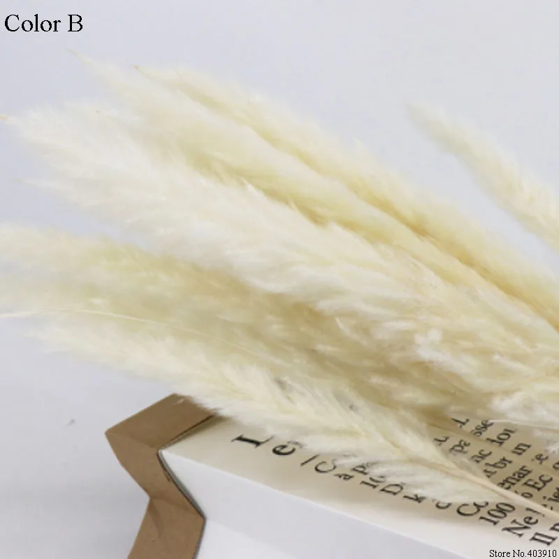 Color B 15 шт. Натуральные Сушеные маленькие пампасы, травы, фрагмиты, свадебные цветы 55 см в высоту для домашнего декора - Цвет: Color B