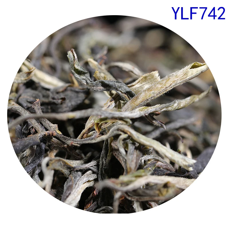 YLF742 8 лет, сырой пуэр чай 250 г