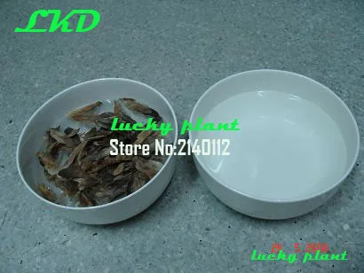 20 Свежий Adenium Obesum Семена Таиланд Редкие Реального Роза Пустыни Семян no56-coral-cream-5 |