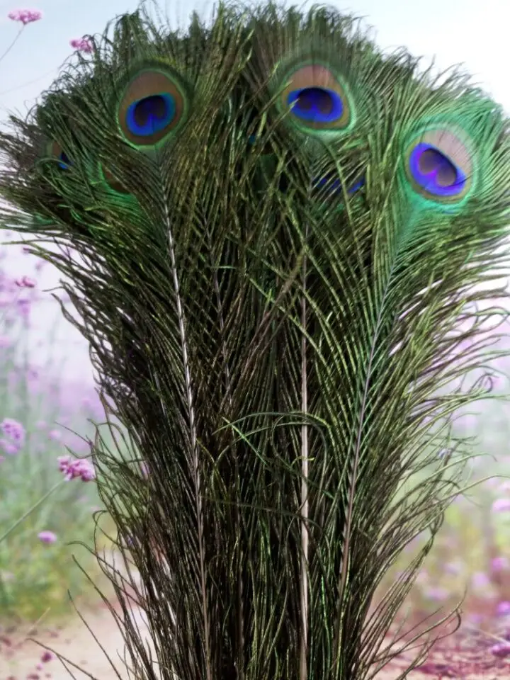 Оптовая продажа высокое качество 10 шт. натуральное павлинье перо 40 45 см/16 18 дюймов