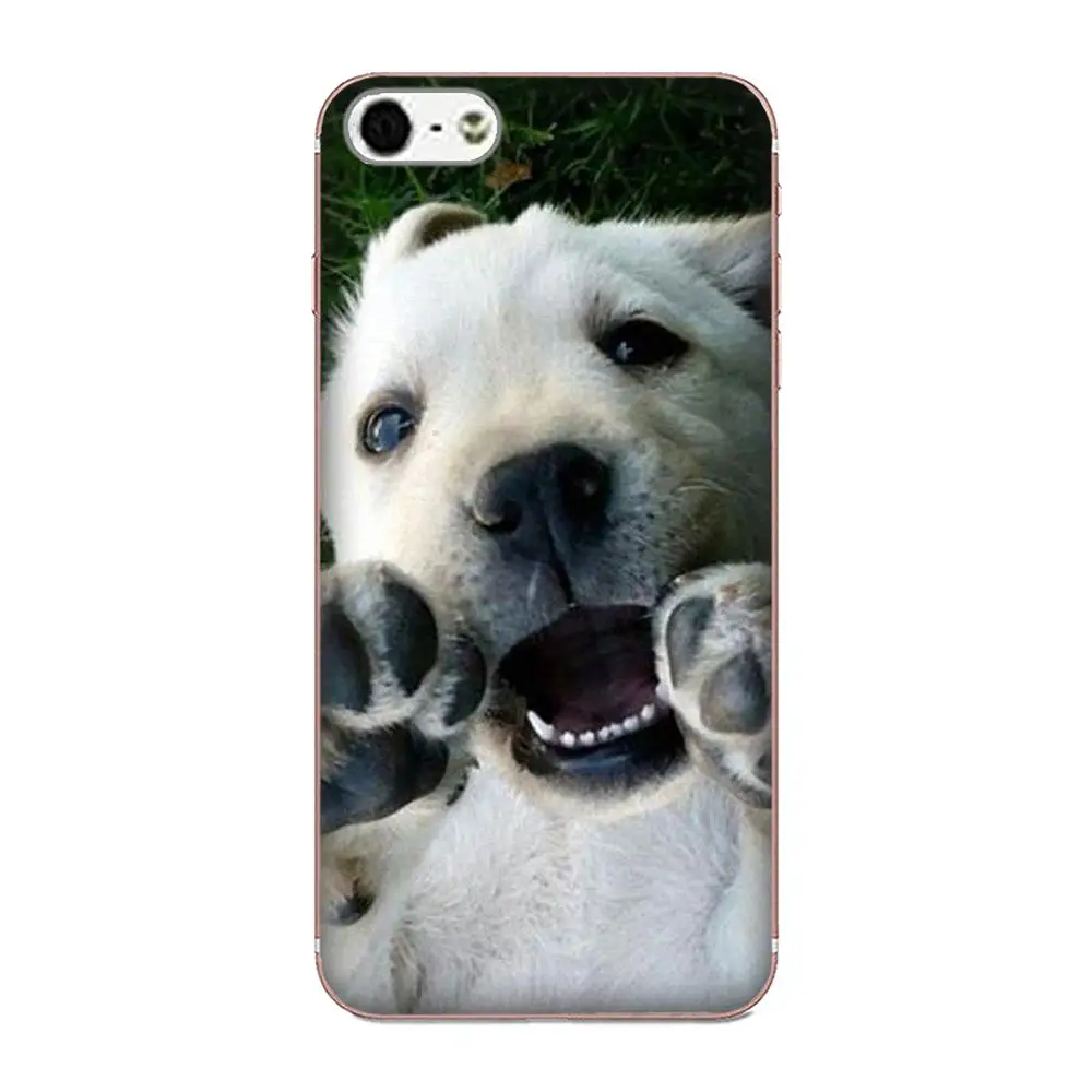 For LG Nexus 5 5X V10 V20 V30 V40 2017 2018 2019 TPU Cases Skin Puppy Labrador Retriever Dog | Mobile Phone &amp Covers