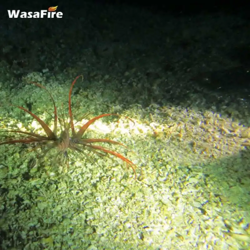 Профессиональный фонарик для дайвинга водонепроницаемый XM-L2 светодиодный