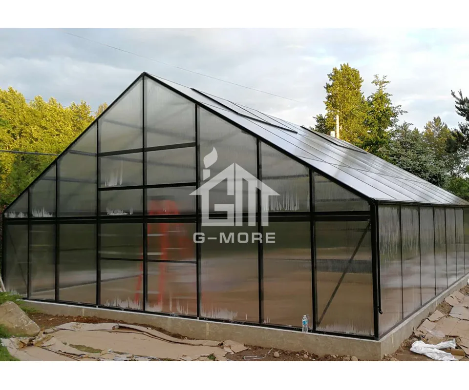 Открытый зеленый дом 4 сезона однопоточный гигантский хобби коммерческий
