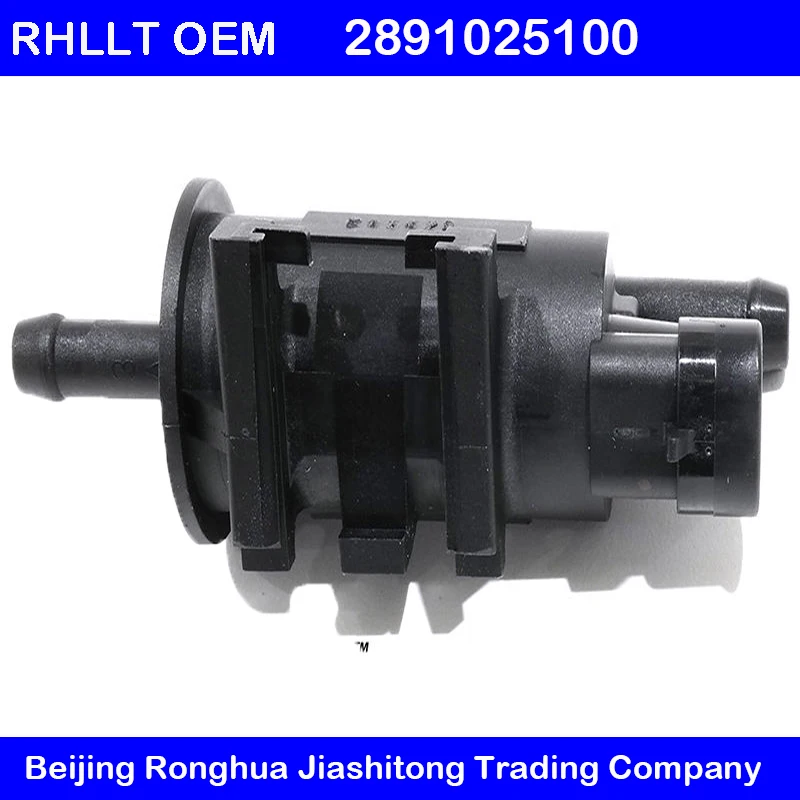 2891025100 клапан управления очисткой вейпа подходит для Kia Rondo Carens Sorento 06 14 Hyundai TUCSON ix35