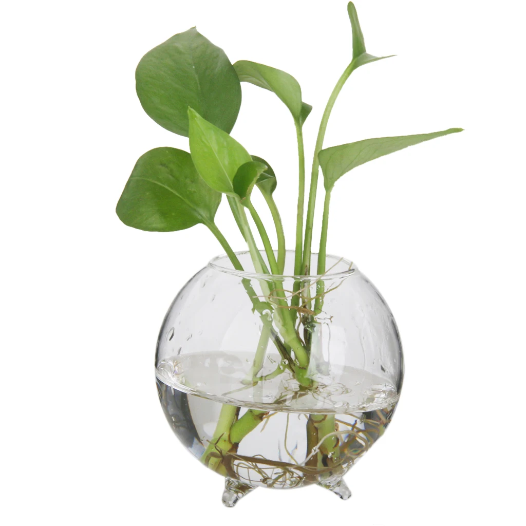 10 Pieces Glass Hydroponic Vase Micro Landscape Bottle Terrarium Container | Дом и сад