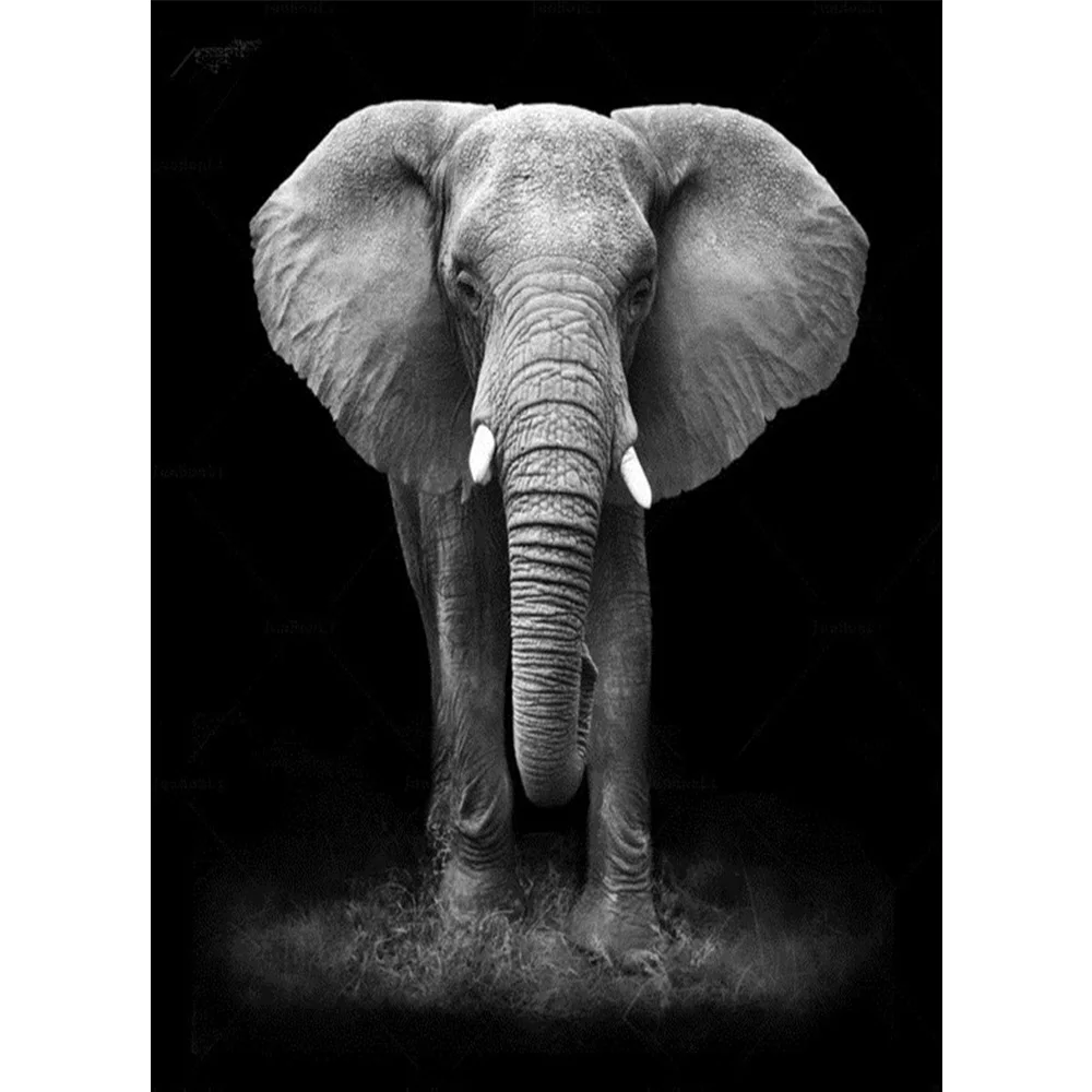 

5D Diamond Painting Cross Stitch Elephant Pattern Diamond Embroidery Full Square Drill Home Decorative 3d diamond Painting FZ873