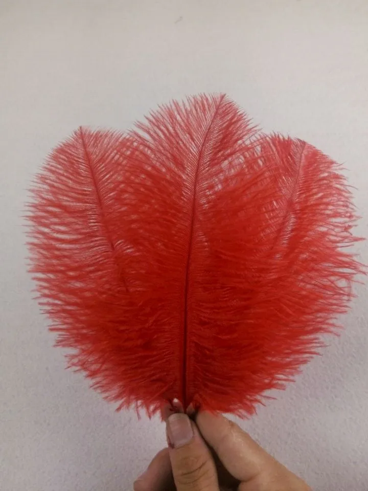 Распродажа высокое качество 10 шт./лот белое страусиное перо 6 8 &quot/15 20 см DIY
