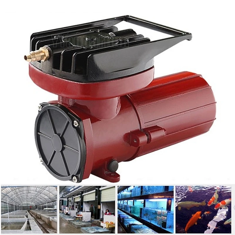 Pumps Aquarium For Fish Farming Pond Hydroponic Seafood Restaurant