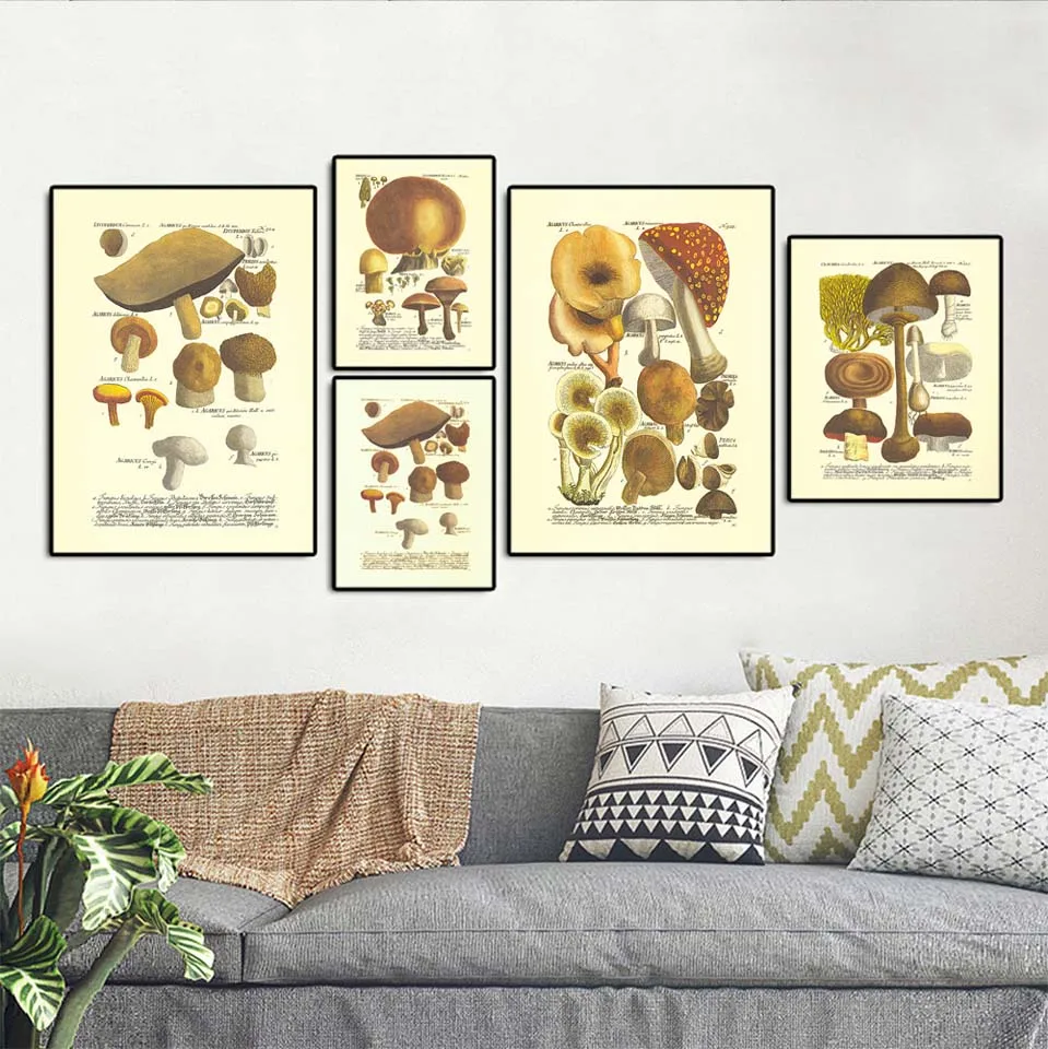 Декор для дома Живопись на холсте Постер и печать Рисунки для гостиной Масло Нерамочные Рисунки Грибы.