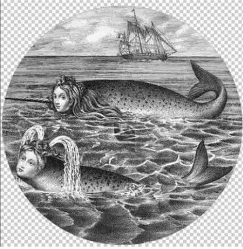 13 Fornasetti керамические настенные тарелки декоративные для дома, гостиной, кофейни, бара, ресторана, офиса, настенные подвесные тарелки - Цвет: 13