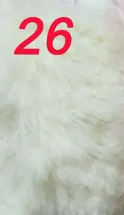 Cream little yellow 10 см* 160 см Высококачественная ткань из искусственного меха бонзер для зимнего пальто Искусственный Кролик для самостоятельной сборки 20 мм JSJRX-65A из искусственного меха кролика - Цвет: Cream little yellow